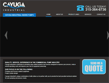 Tablet Screenshot of cayugaindustrial.com